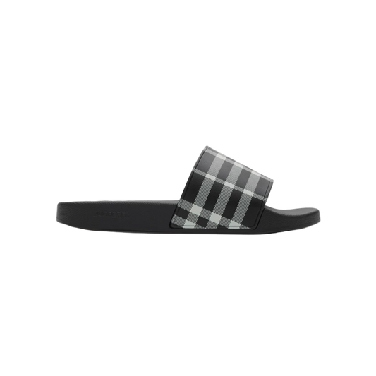 CHECK ARCHIVE SLIDES “Calico”