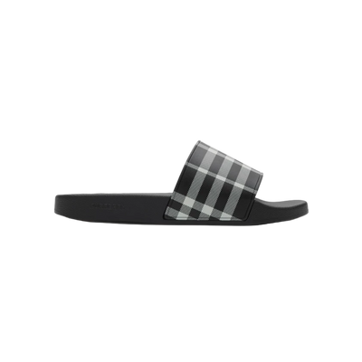 CHECK ARCHIVE SLIDES “Calico”