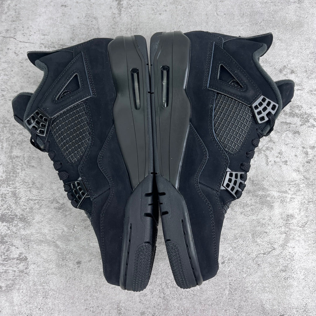 COURT LEGACY IV “Black Cat”