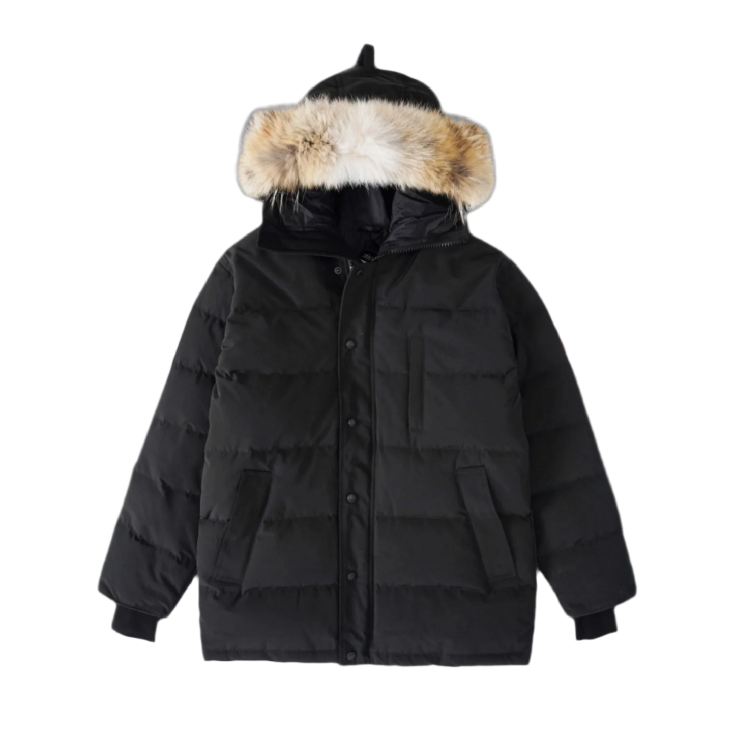 EXPEDITION SHELL PARKA “Carson”