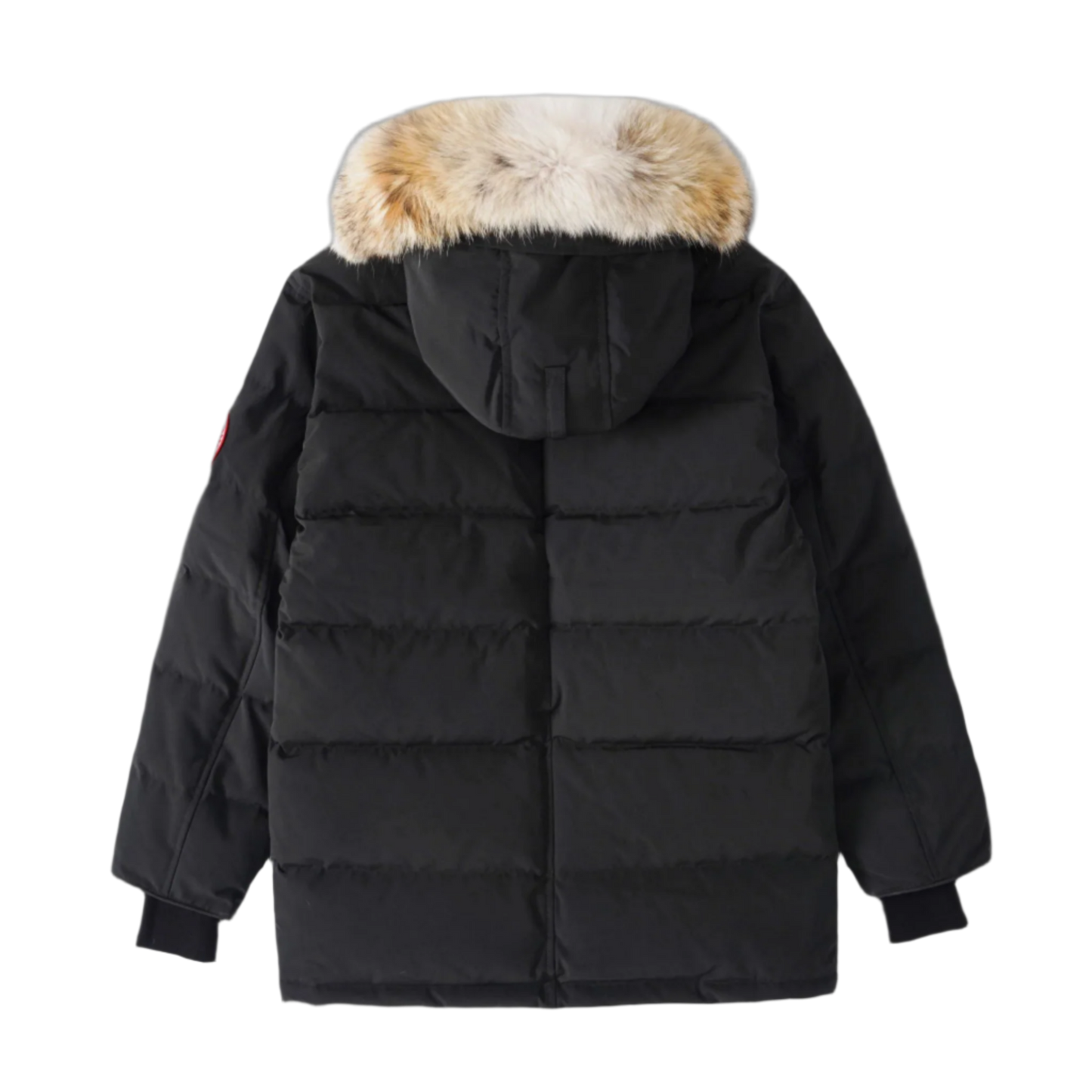 EXPEDITION SHELL PARKA “Carson”